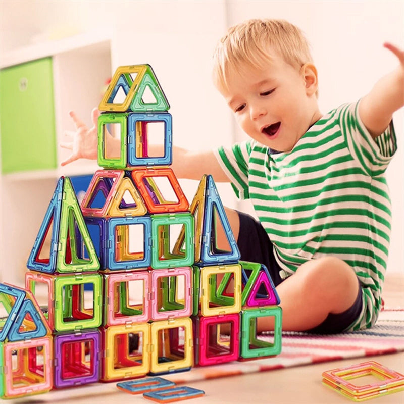 Brain Development / Montessori Toys